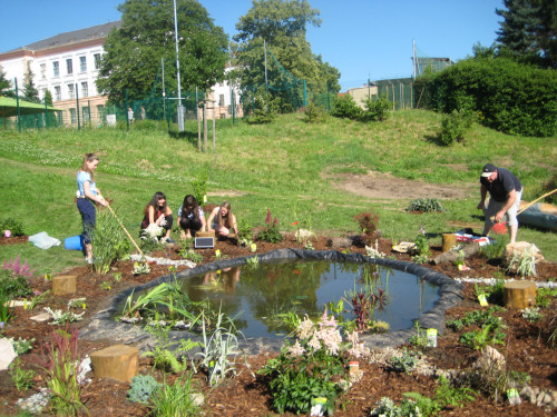 Der Teich wurde vergrößert und erhielt einen 1,50 Meter breiten Pflanzstreifen, der von den Schülern gestaltet und bepflanzt wurde. Foto: Gymnasium