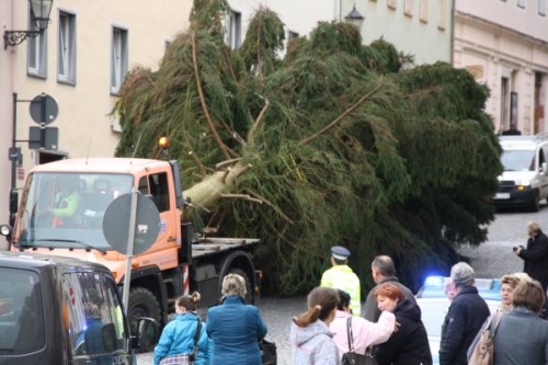 Annaberg hat seinen Weihnachtsbaum. Die 22 Meter hohe Fichte fand ihren Weg auf den Annaberger Marktplatz. Foto: André Kaiser