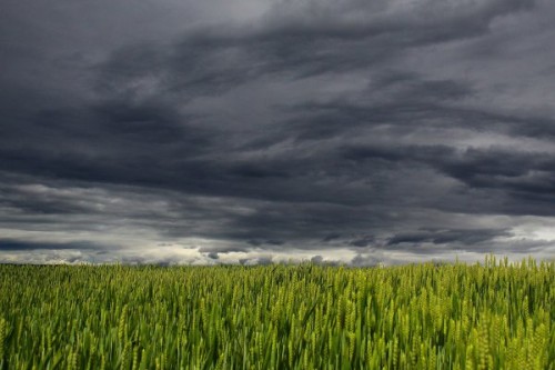 Braut sich im Erzgebirge etwas zusammen? Foto: pixabay