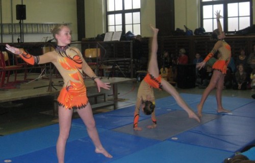Mit akrobatischen Tanzeinlagen begeisterten die Schüler das Publikum in der Turnhalle. Foto: OS Scheibenberg