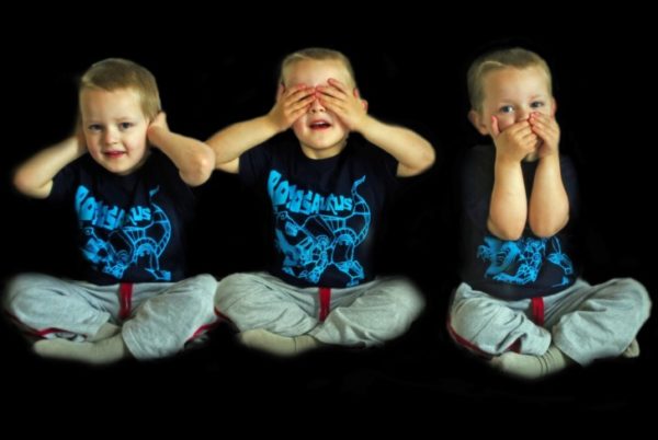 Werden die Kinder zu sehr in Watte gepackt? Nach Aussagen von Amtsärztin Carina Pilling ist das durchaus der Fall. Das Resultat: Vor allem Sprachdefizite und Störungen in der Motorik. Foto: PublicDomainPictures/pixabay.com 