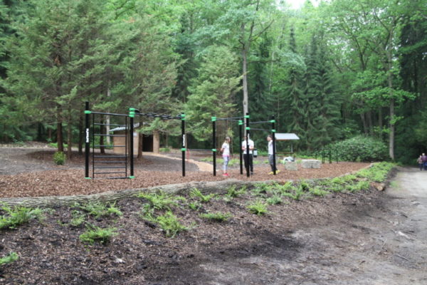 Waldsportplatz (7)