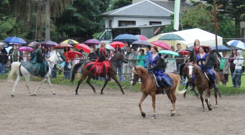 Trotz strömenden Regen zeigten Reiter und Pferde ihr Können. Foto: Uwe Wolf