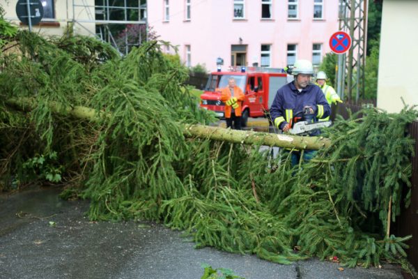 Die Feuerwehr musste diesen umgefallenen Baum in Waschleithe zersägen. Auch in anderen Teilen des Erzgebirges kam es teilweise zu heftigen Unwettern. Fotos: Daniel Unger
