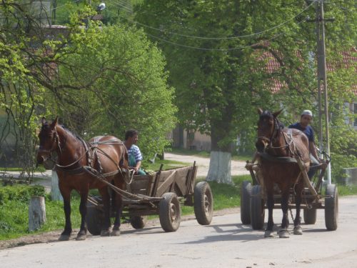 Entschleunigung im Straßenverkehr. Vieles wird mit Pferdewagen transportiert. Foto: Jan Hübler