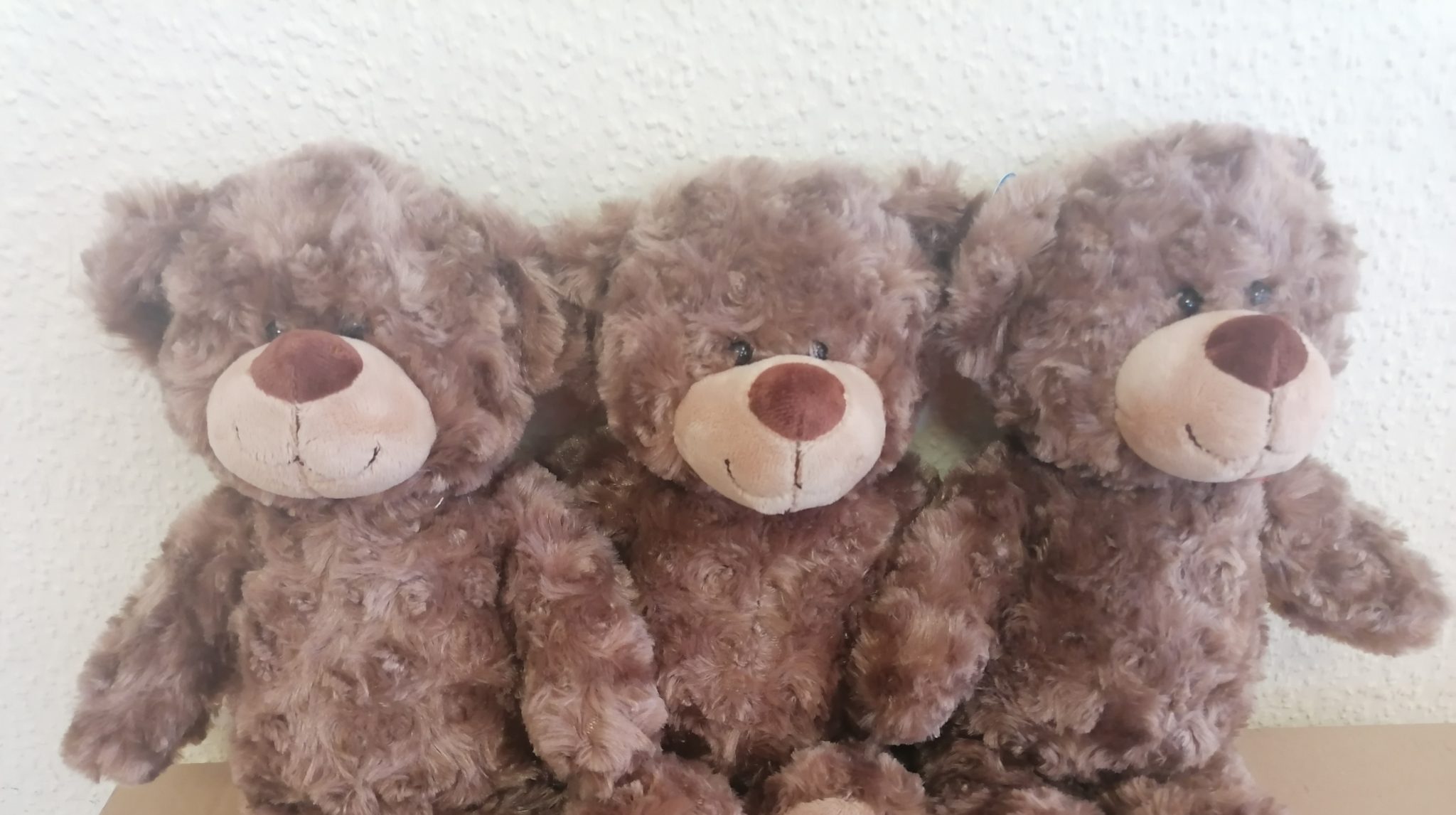 Seit Jahrhunderten sind Teddys Kinder-Kuschel-Freunde. Wir verlosen drei der niedlichen Gesellen an unser Leser.